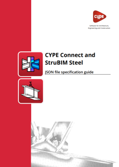 en-cype-connect-y-strubim-steel-json-file-specification-guide