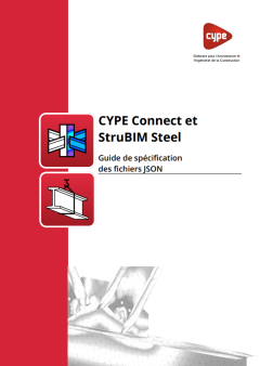 fr-cype-connect-y-strubim-steel-guide-de-specification-des-fichiers-JSON